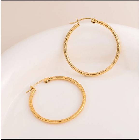 Round Planting Stainless Steel 18K gold plated‎ Hoop Earrings - Picture 3 of 3